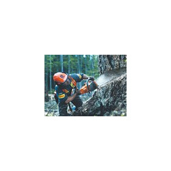 Husqvarna 555