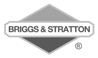 Briggs & Stratton